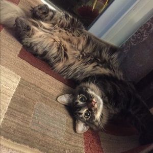 Meet your Posher, Tara